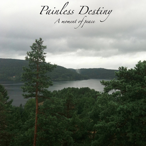 尤物视频进入口
